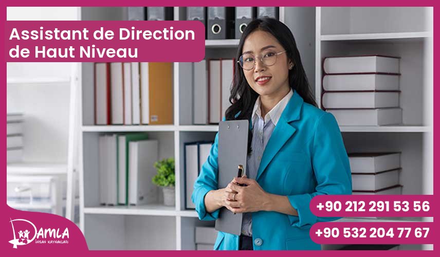 Assistant de Direction de Haut Niveau Hizmeti