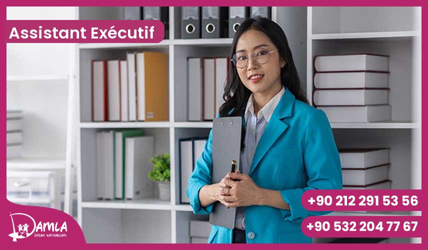 Assistant Exécutif Hizmeti