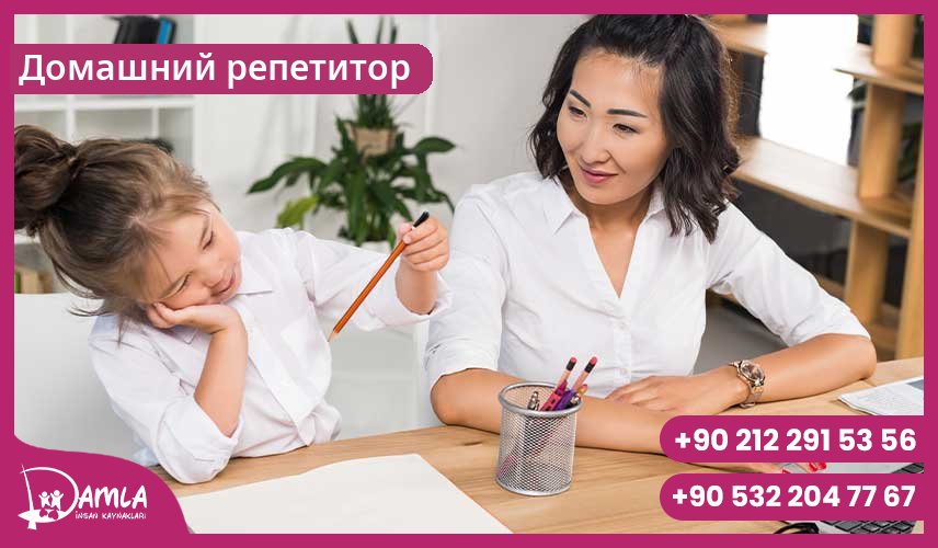 Домашний репетитор Hizmeti