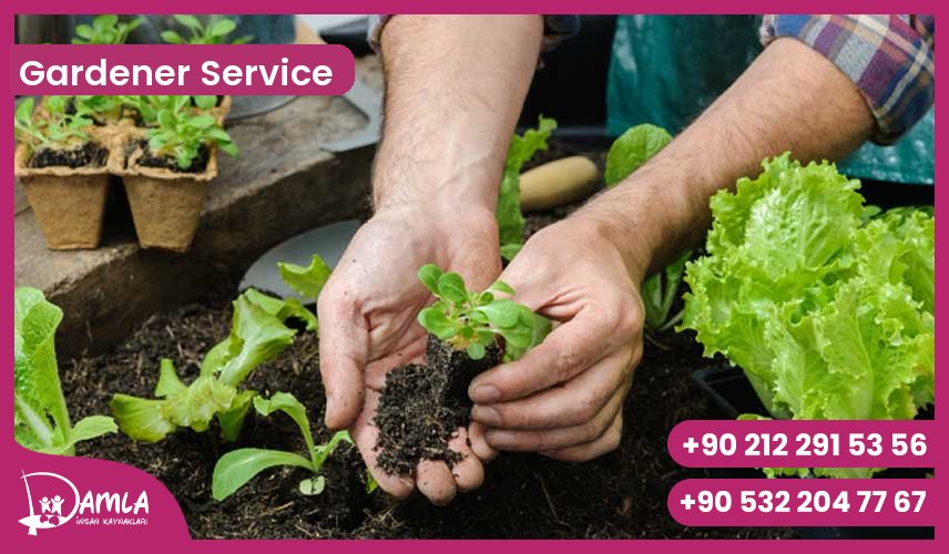 Gardener Service Hizmeti
