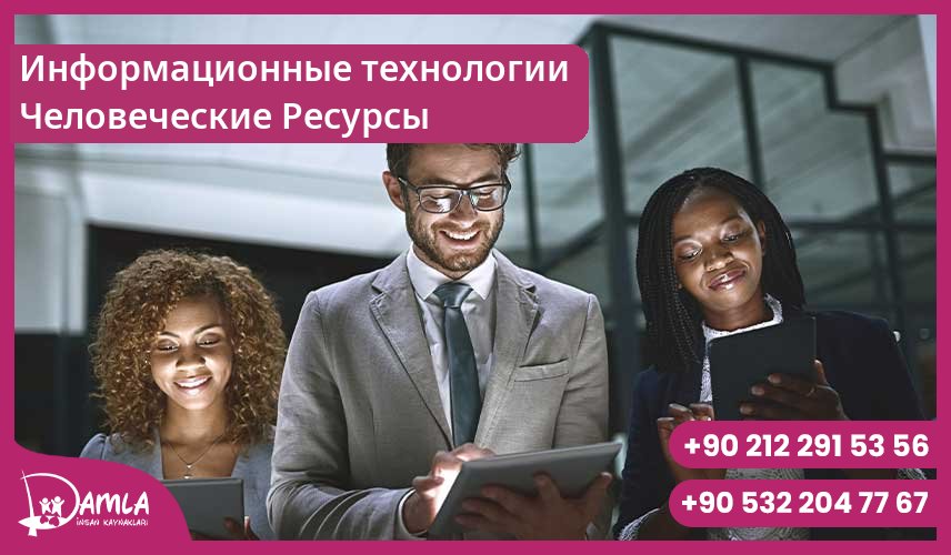 Информационные технологии Человеческие Ресурсы Hizmeti