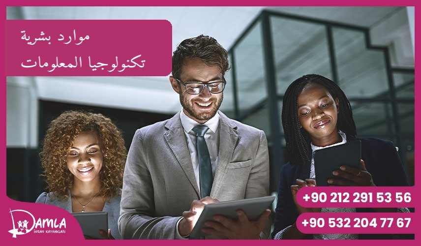 موارد بشرية تكنولوجيا المعلومات Hizmeti