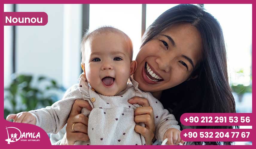 Nounou Hizmeti