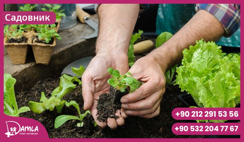 Садовник Hizmeti