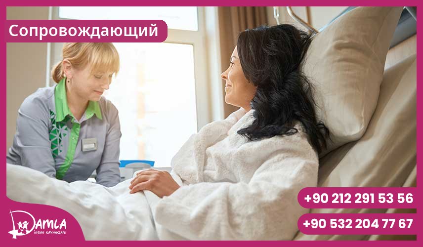 Сопровождающий Hizmeti
